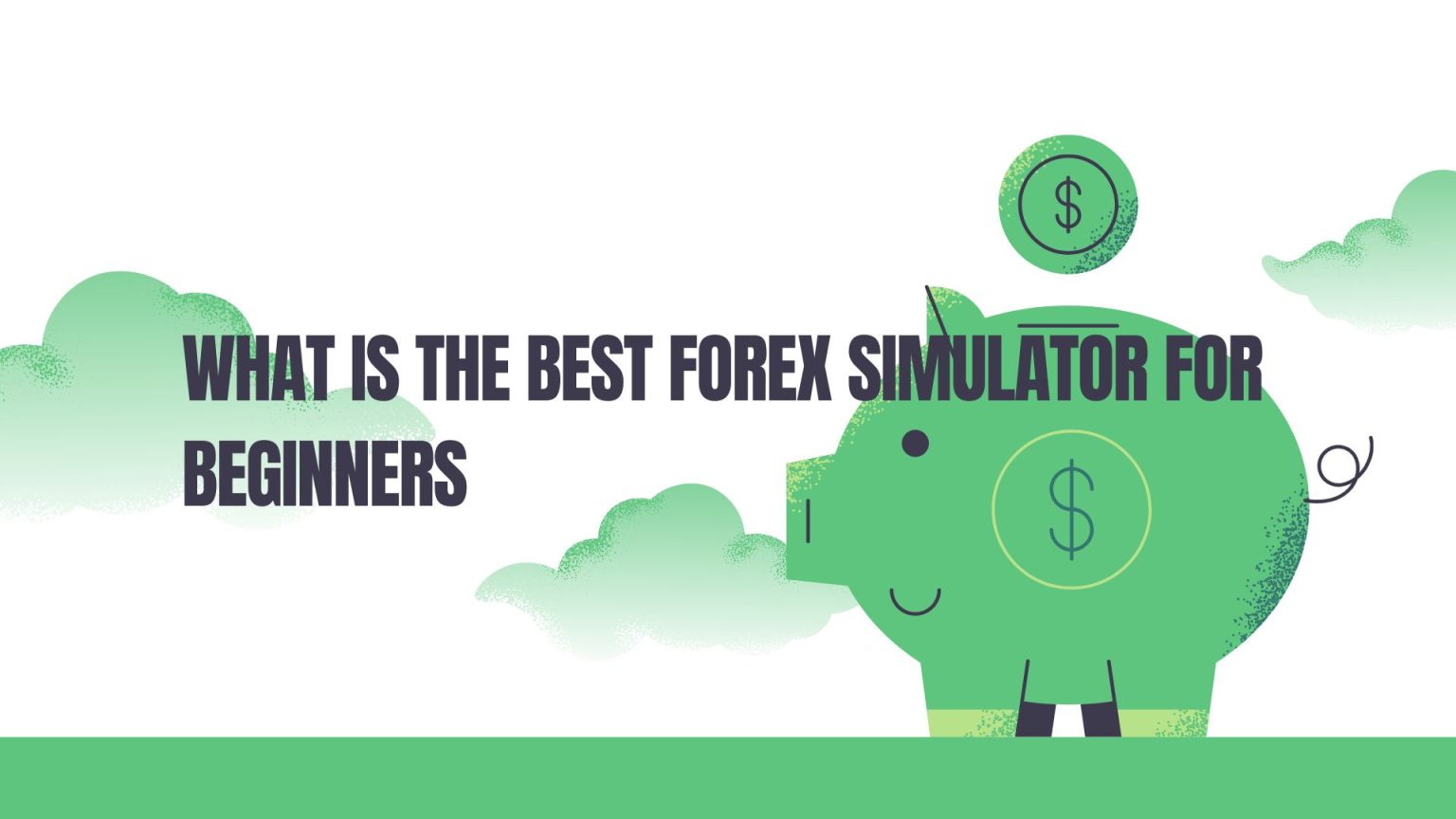 What is the Best Forex Simulator for Beginners